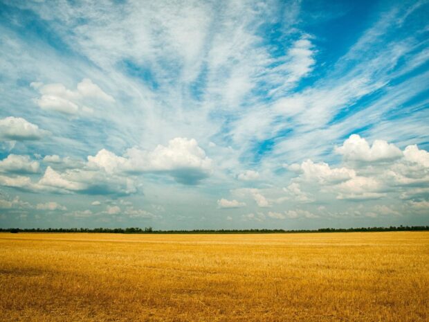 Vast grassland under a blue sky with scattered clouds on a sunny day