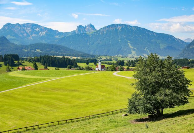 A vast grassland with a large tree and distant mountains under a clear blue sky