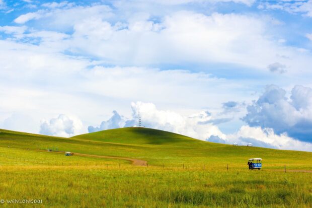 A vast grassland with rolling green hills under a bright blue sky with scattered clouds