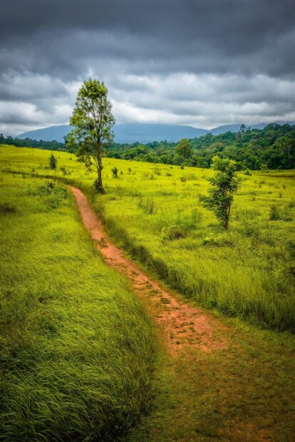 A winding dirt path through lush green grassland with scattered trees under cloudy skies