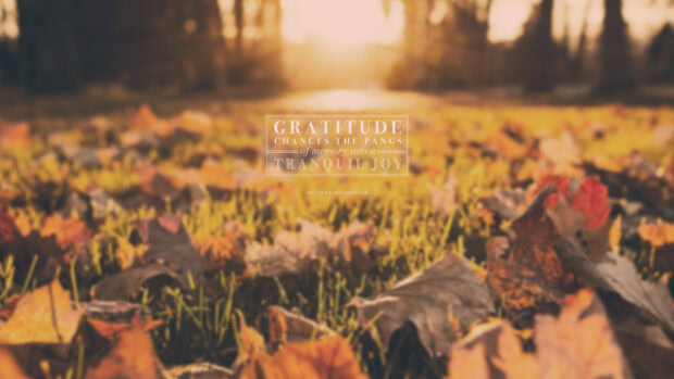 Autumn leaves scattered on green grass with gratitude quote in sunlight background