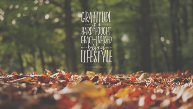 A close up of autumn leaves on the ground with gratitude as a hard fought grace infused biblical lifestyle text