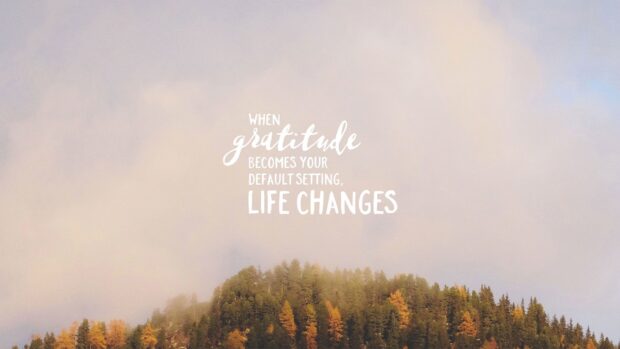 When gratitude becomes your default setting life changes text on autumn forest background