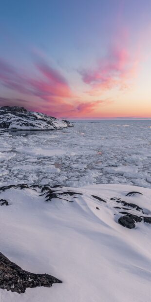 Frozen coastline covered with snow and drifting ice in Greenland under a pink sunset sky