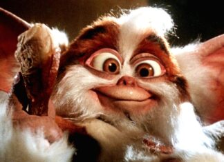 A cute gremlin holding a piece of food with big eyes and fluffy fur