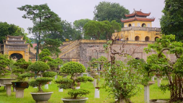Ancient architecture and greenery in Hanoi garden with bonsai trees and historic gate