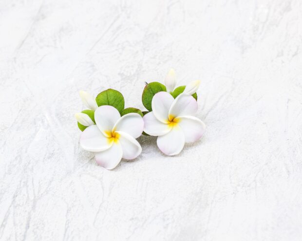 White plumeria flower with green leaves on textured surface showing Hawaiian flower