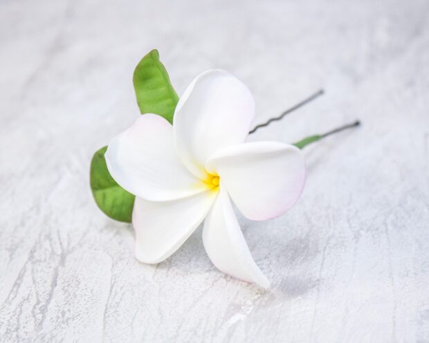 A single plumeria flower with green leaves on a textured surface