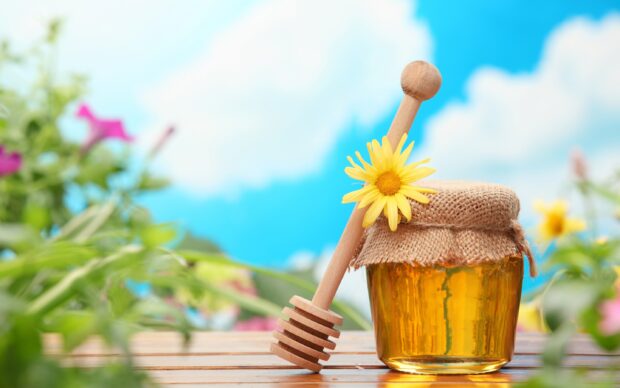 A jar of honey with a wooden dipper and a yellow flower on a sunny day