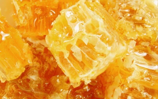 Close up of honeycomb filled with rich golden honey showcasing natural texture and sweetness