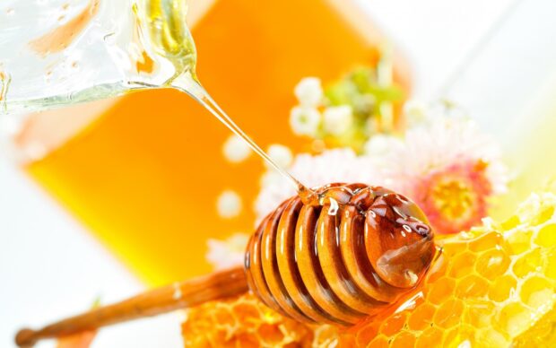 Honey dripping over a honey dipper and honeycomb in bright light