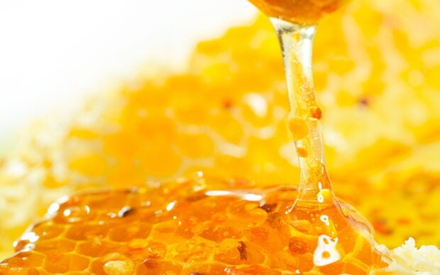 Close up of honey dripping onto the honeycomb with rich golden color