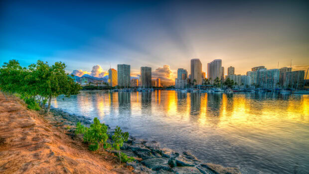 Sunrise over Honolulu city skyline and bay with clear sky and green trees