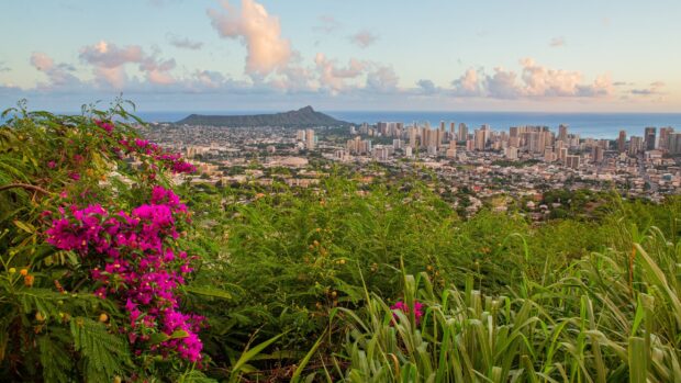 View of Honolulu cityscape with lush greenery and vibrant flowers in the foreground