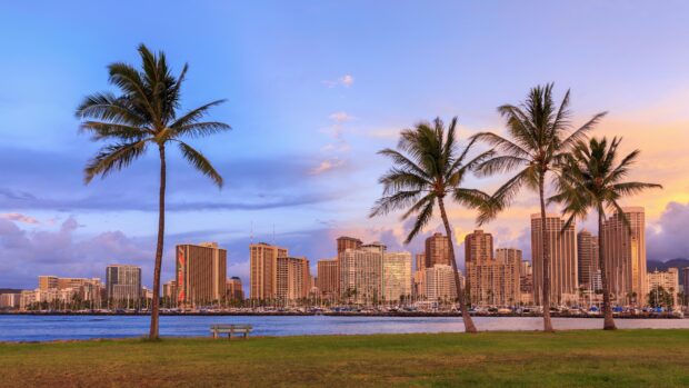 Palm trees and high rise buildings in Honolulu at sunset with peaceful waterfront view