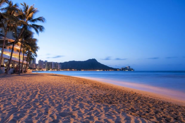 A serene view of Honolulu coastline during twilight with palm trees and city lights
