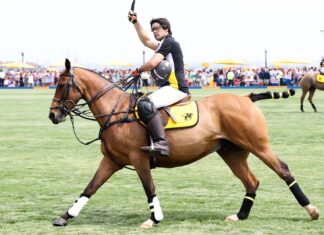 Polo player riding horse polo on grass field during match