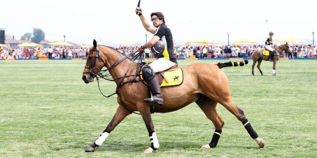 Polo player riding horse polo on grass field during match