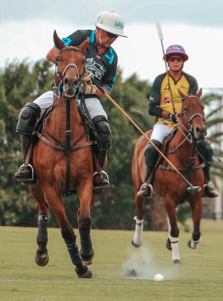 Experienced player in horse polo sport hitting the ball on the field