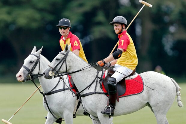 Two men playing horse polo on white horses wearing yellow and red jerseys