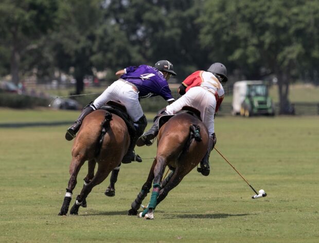 Two players competing in a horse polo match on a grassy field