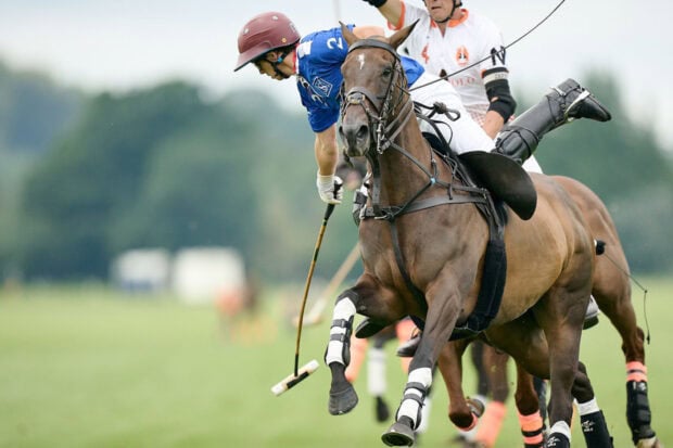 A polo player riding a horse while playing the sport on a green field
