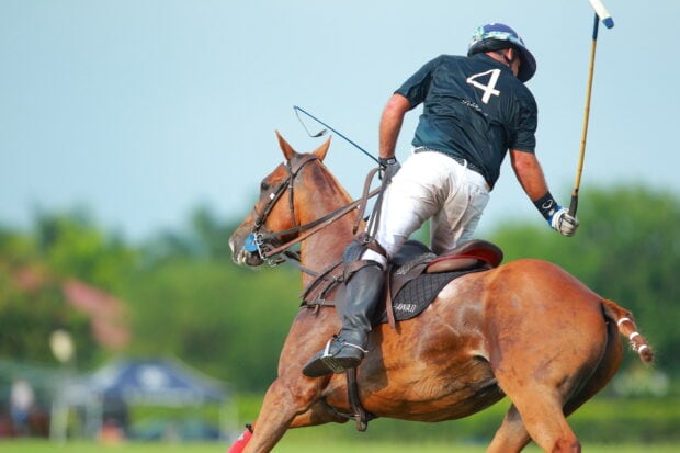 Polo player riding a horse during an intense horse polo match on a sunny day