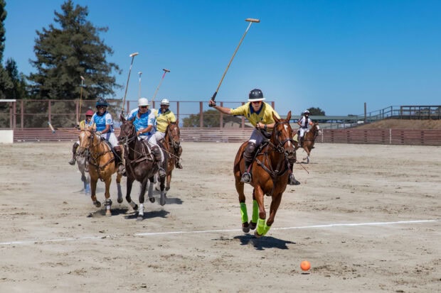 Polo players in action on horses chasing the ball during a horse polo match