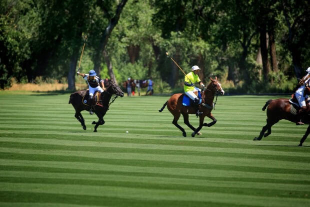 Polo players riding horses on a green field during a horse polo match