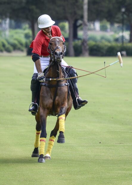 Polo player riding a horse in action during a horse polo match on the field
