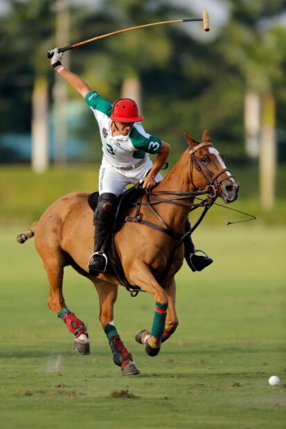 A horse polo player in action riding a horse during a match on a green field
