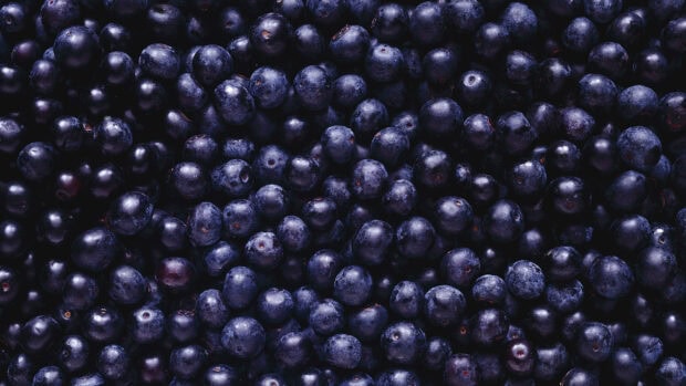 Fresh huckleberry close up with natural texture and rich colors
