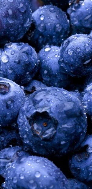 Close up of fresh huckleberry covered with water droplets