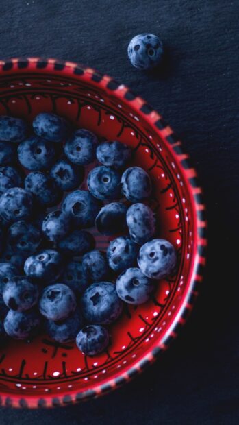 Fresh huckleberry fruits in a decorative red bowl on a dark surface