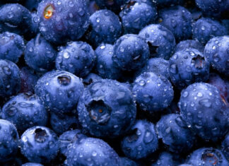 Close up of fresh huckleberry covered with water droplets