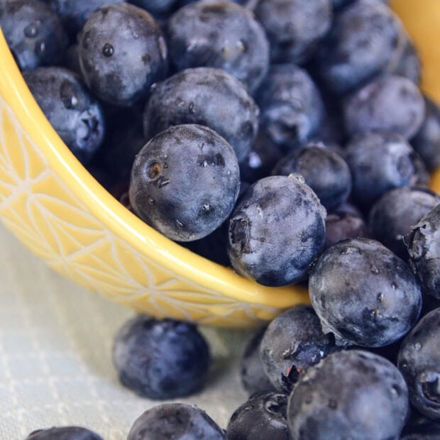 Close up view of fresh huckleberry in a yellow bowl with water droplets