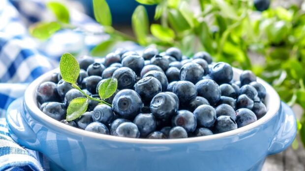 Fresh huckleberry fruit piled in a blue ceramic bowl with green leaves in the background