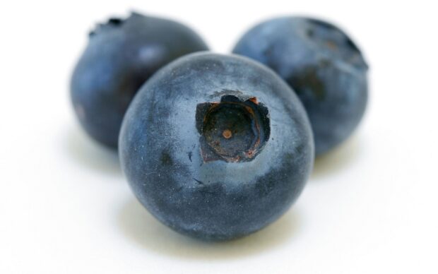 Close up view of fresh huckleberry with smooth blue skin on white surface