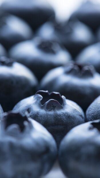 Close up of fresh huckleberry showing detailed textures and natural colors
