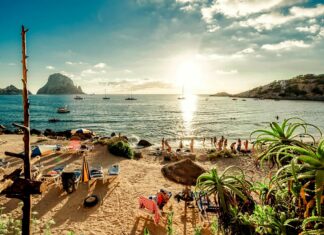 A lively Ibiza beach scene with people enjoying the sun and aloe plants in the foreground