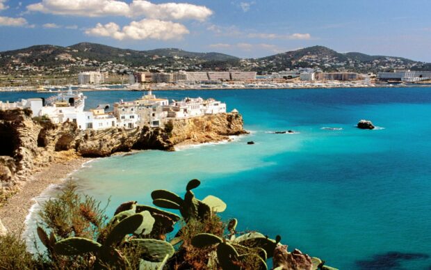 Rocky coastline with turquoise water in Ibiza and cactus plants in foreground