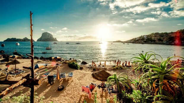 A lively Ibiza beach scene with people enjoying the sun and aloe plants in the foreground