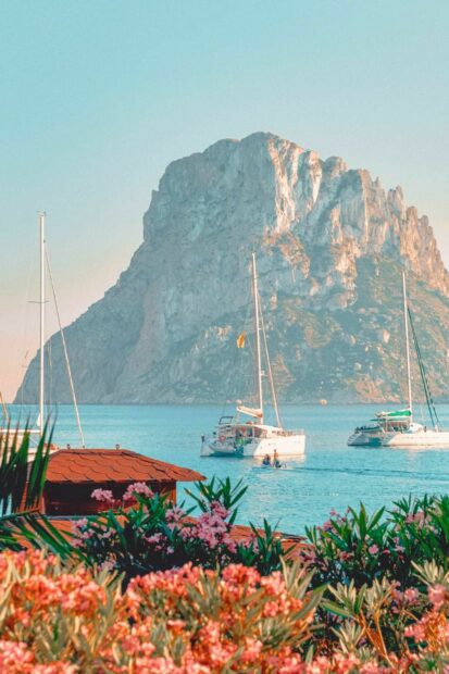 Sailboats near the rocky coast of Ibiza with vibrant flowers in the foreground