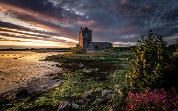 Ancient Irish castle on rocky shore at sunset with colorful flowers and cloudy sky