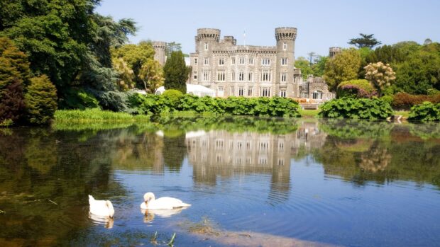 Historic Irish castle surrounded by lush greenery and swans swimming on a calm lake