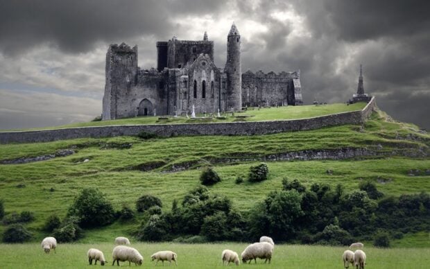 Ancient Irish castle standing on a hill with green grass and grazing sheep under cloudy sky