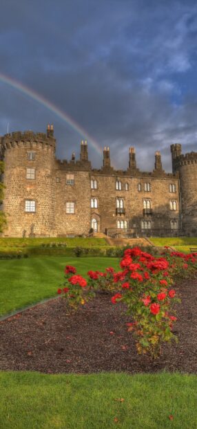 Historic Irish castle with blooming red roses and a vibrant rainbow in the sky