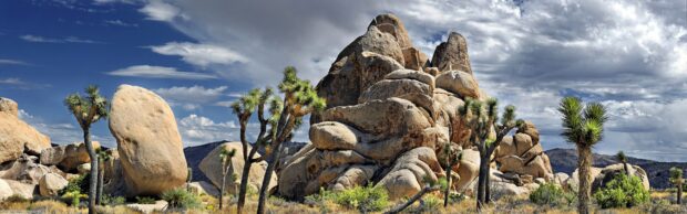 A panoramic view of Joshua Tree with rocky formations under a bright blue sky and scattered clouds