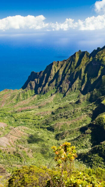 A scenic view of Kauai cliffs and lush greenery under a bright blue sky