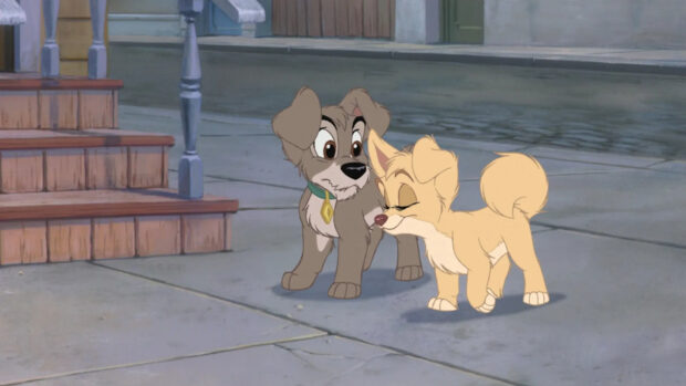 A cute Lady And The Tramp puppy scene on a city sidewalk with wooden steps in the background